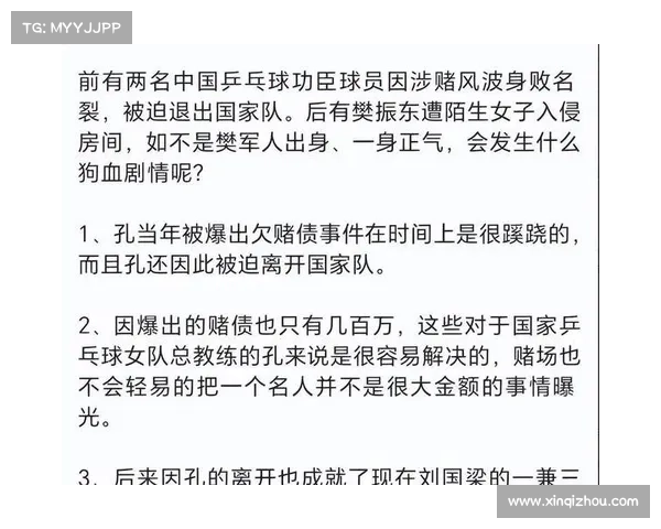 国乒罢赛事件深度分析:背后的原因、影响与未来走向探讨 国乒罢赛事件深度分析:背后的原因、影响与未来走向探讨